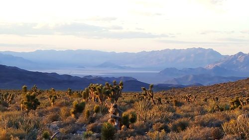 Panoramic view of desert against sky