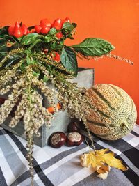 Close-up of fruits on table