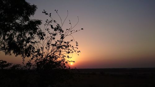 Silhouette tree by sea against sky during sunset