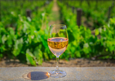 Close-up of wineglass on table