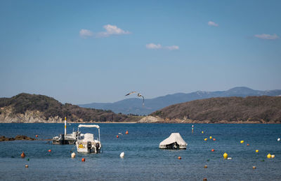 Sailboats in sea against sky