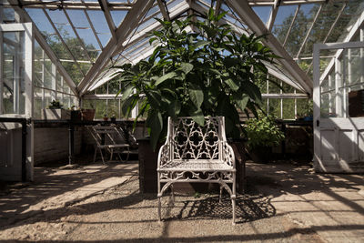 Empty chairs and table in greenhouse