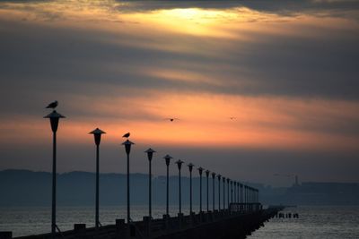 Silhouette birds on wooden post against sky during sunset