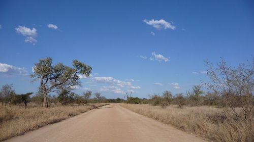 Road passing through field