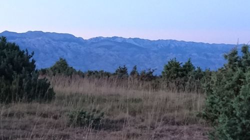 Scenic view of field and mountains against clear sky