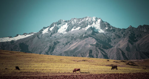 Scenic view of mountains against clear sky