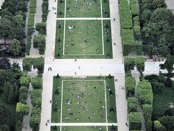 High angle view of plants growing in park