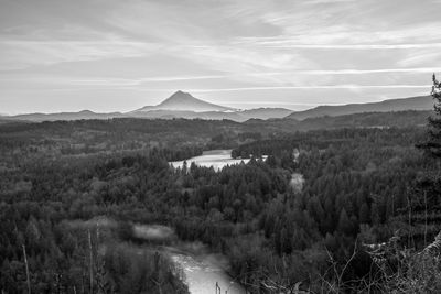 Scenic view of landscape against sky