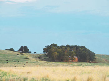 Scenic view of landscape and mountains against sky