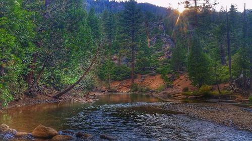 Sun shining over river