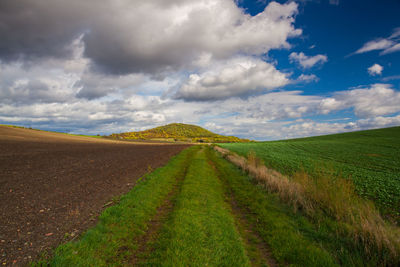 Scenic view of agricultural field against sky