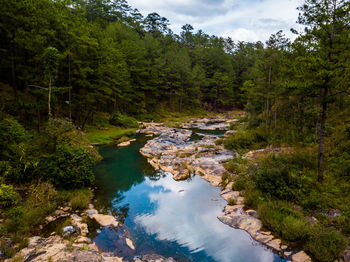 Scenic view of lake amidst trees in forest against sky