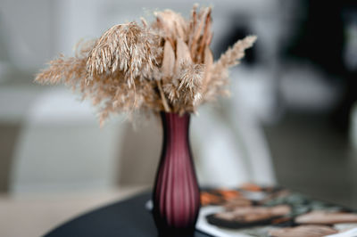 There is a vase with dried flowers on the table, next to which lies a fashion magazine