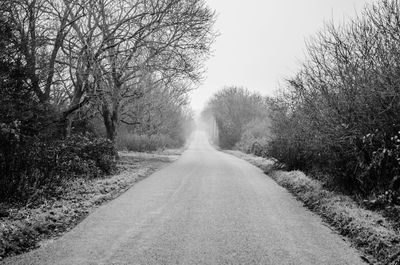 Road amidst bare trees against clear sky