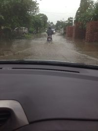 Train on road