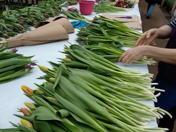 Cropped image of man for sale in market