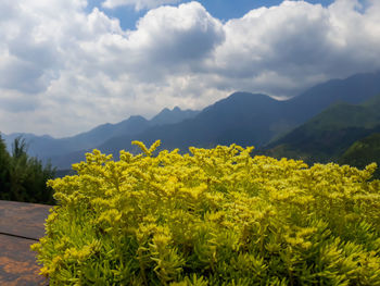 Scenic view of landscape against cloudy sky
