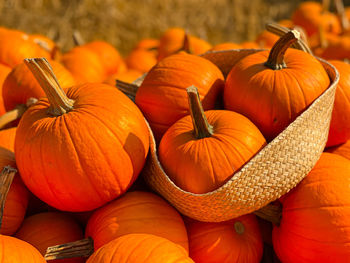 Close-up of pumpkins for sale at market stall