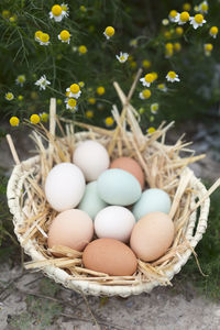 Stack of eggs in basket