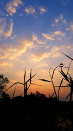 Silhouette plants against sky during sunset