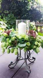 Close-up of flower pot on table