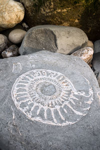 High angle view of stones