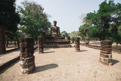 Trees in a temple