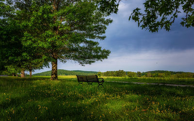 Empty bench on field by trees against sky