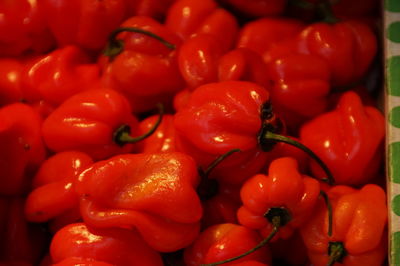 Full frame shot of tomatoes