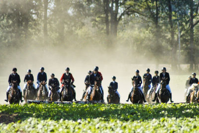 Group of people riding horses on field by trees