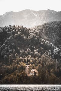 Lake bled by church against trees