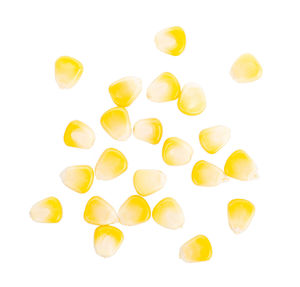 Directly above shot of yellow candies against white background