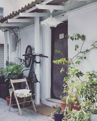 Cat on chair in front of closed door