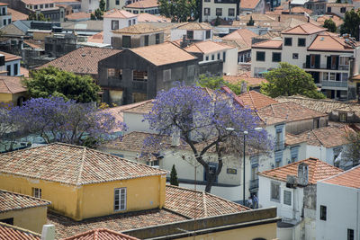 High angle view of buildings in town