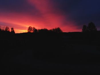 Silhouette of trees at sunset