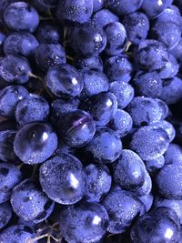 Full frame shot of wet blue berries