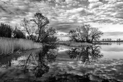 Reflection of trees in lake against sky