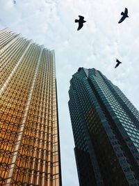 Low angle view of skyscrapers against sky in the city of ottawa with silhouettes of birds and clouds 