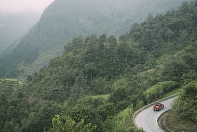 High angle view of winding road in forest