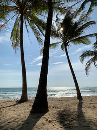 Coconut palm trees on beach against sky