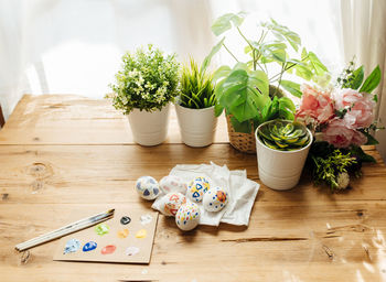 High angle view of potted plant on table