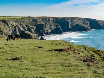 Scenic view of landscape