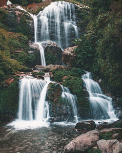 Scenic view of waterfall in forest