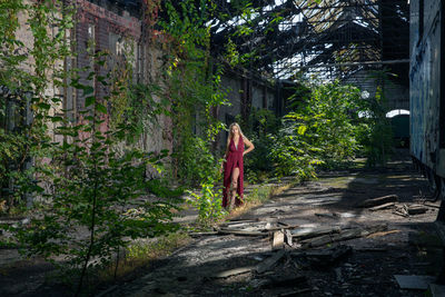 Rear view of man walking amidst trees and plants