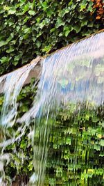 Scenic view of water flowing through tree