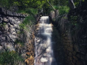 Water flowing through rocks in forest