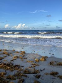 Scenic view of beach against sky