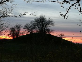 Silhouette trees on field against sky at sunset