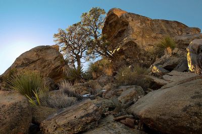 Low angle view of rock formations
