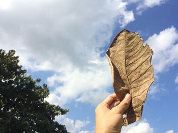 Cropped image of hand holding dry leaf against cloudy sky